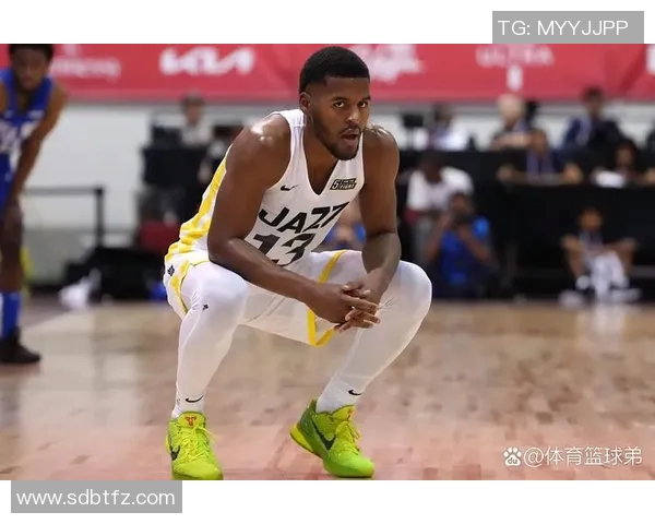 2006赛季NBA太阳队与魔术队精彩对决回顾与分析