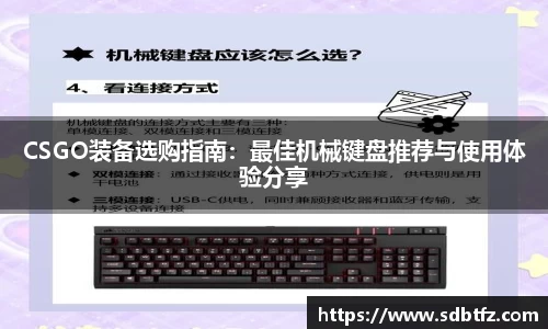熊猫体育