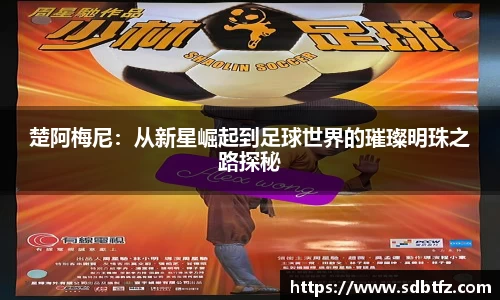 熊猫体育官网