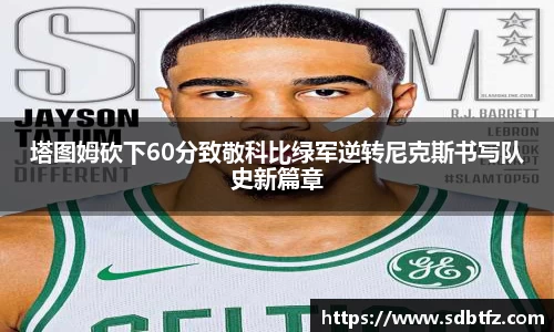 熊猫体育