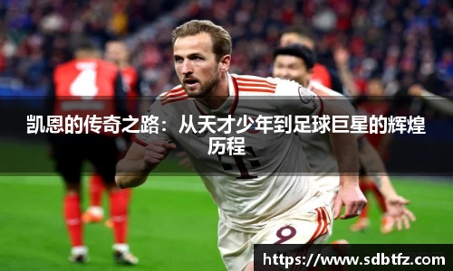 熊猫体育官网网址