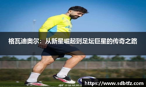 熊猫体育官网