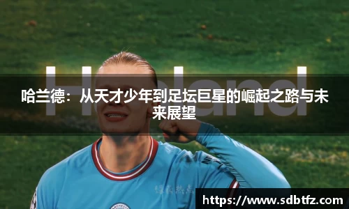 熊猫体育直播